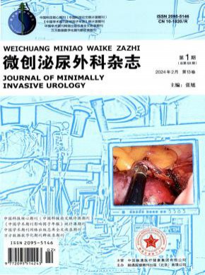 微创泌尿外科期刊